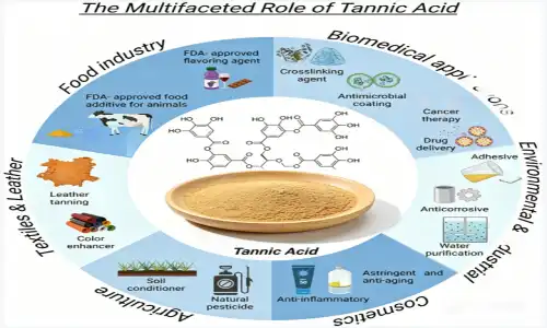 Top Benefits of Tanino Milteliai in Food and Industry